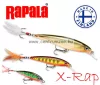 Rapala XR10 X-Rap 10cm 13g wobbler - MD