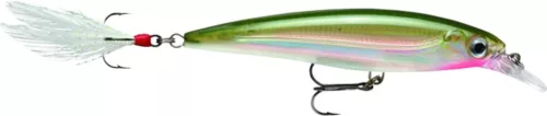 Rapala XR10 X-Rap 10cm 13g wobbler - Og Színben