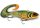 Rapala XROU17 - UV5 - X-Rap® Otus Rap 17cm 40g wobbler