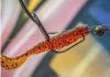 Korum Snapper Floatex Squirliz 7,5cm - Spotted Goby plasztik hal 4db  (Z0660043)