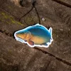 Zebco Target Fish Air Freshener autós illatosító Carp (Z0980003)