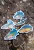 Zebco Target Fish Air Freshener autós illatosító Zander (Z0980006)