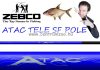 Zebco Atac Tele 500 Sf Pole spicc bot 5,00m  (10005500)