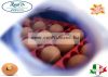 Borotto Real 24 Italy Automatica - Professional automata csirkekeltető (tojáskeltető, keltetőgép) automata tojásforgatóval