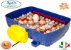 Borotto Real 24 Italy Automatica - Professional automata csirkekeltető (tojáskeltető, keltetőgép) automata tojásforgatóval