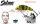 Salmo Rattlin Hornet Floating - 5,5Cm 10,5G Wobbler (Qrh027) Gold Fluo Perch