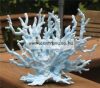 Penn Plax Deco Corall Blue & White Kékesfehér Dekorációs Korall 18*13Cm (001185)