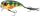 Spro Fat Iris 60 Wobbler 6Cm 17G - Chrome Perch (4867-1006)