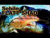 Sebile® Flatt Shad Megbízható Wobbler Fs-050-Sk - Natural Blue Back Herring Nbbh (1404991)
