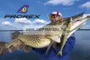 Daiwa Prorex Duckfin Classic Shad 125Df Bb  Prémium Gumihal 12,5Cm - Ghost Ayu