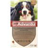 Advantix Spot on 1x6ml kullancs és bolha elleni csepp 40-60kg közti kutyáknak