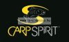 Carp Spirit Forgós Előkerögzítő Gyorskapocs Matt Fekete #8 10Db (Acs290011)