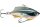 Rapala RVB05 Rap-V® Blade 5cm 10g wobbler - HLW szín