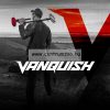 Minelab Vanquish  V12-Es, 12”X9” Dd Tekercs