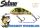 Salmo Rattlin’ Hornet Floating - 3.5cm 3,1g wobbler (Qrh269) Gold Fluo Perch