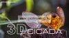 Savage Gear 3D Cicada 3.3Cm 3.5G F Black (61987) Műcsali