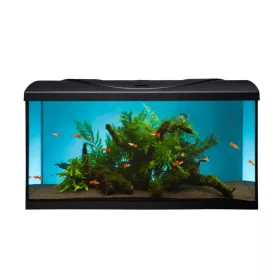   Diversa 50 Led Expert 10W Startup Black Egyenes 38 literes felszerelt akvárium szett (119683)