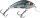 Salmo Rattlin Hornet Shallow - 3,5cm 3g wobbler  (84413-600) HRD
