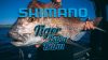 Shimano Engetsu Tiger Baku-Baku 62T Red Curty 120G  (59Vej412Q62)