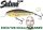 Salmo Executor 5cm 5g  0,6m wobbler  (Qex005) Trout