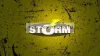 Storm So-Run Superu Shad 4" Gumihal 10Cm 905G (Ssrssb5004La)