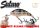 Salmo Rattlin' Hornet 4.5Cm 6G Wobbler  (Qrh361) Clear Young Perch