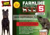 Farmline Protect 5 New Villanypásztor Komplett Szett ( Protect5Set25)
