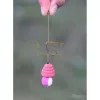 Haldorádó N-Butyric Pop Up Big Carp - Vajsav + Sajt 13-17mm