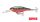 Rapala SR05 Shad Rap 5cm 6g wobbler - RCW színben