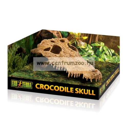 Exo-Terra Crocodile Skull Dekor  Koponya 22Cm (2856)