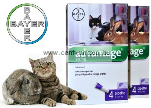 Bayer Advantage Spot On 0,8ml  bolha elleni csepp 4kg feletti cicáknak, nyulaknak  1db pipetta
