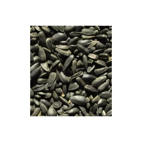 Kiss Product Napraforgó fekete 1Kg