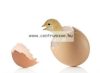 Tojás Átvilágító - Golden Egg Led Light - lámpázó termékenység ellenőrző lámpa