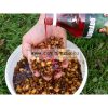 Haldorádó Carp Syrup - Fűszeres Vörös Máj  Aroma 500Ml