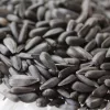 Napraforgó Fekete 10 kg - gazdaságos kiszerelés