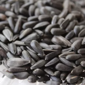 Napraforgó Fekete 10 kg - gazdaságos kiszerelés