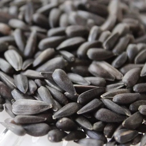 Napraforgó Fekete 10 kg - gazdaságos kiszerelés