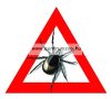Insecticide 2000 10liter rovarölő (Kullancs, Bolha, Tetü, Atka, Hangya, Légy, Moly)