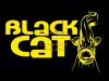 Black Cat Flavour Spray Happy Cadaver 100ml Harcsamágnes Aroma (22-3907004)
