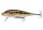 Rapala F03 Original Rap 3cm 2g wobbler - color GOB