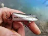 Spinmad Impulse Pro 5cm 6,5g Sinking wobbler (2808)