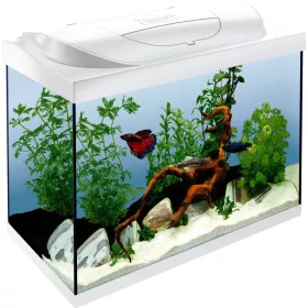   Tetra Starter Line  60 Led Komplett felszerelt akvárium 54l fehér 60x30x30cm (319707)