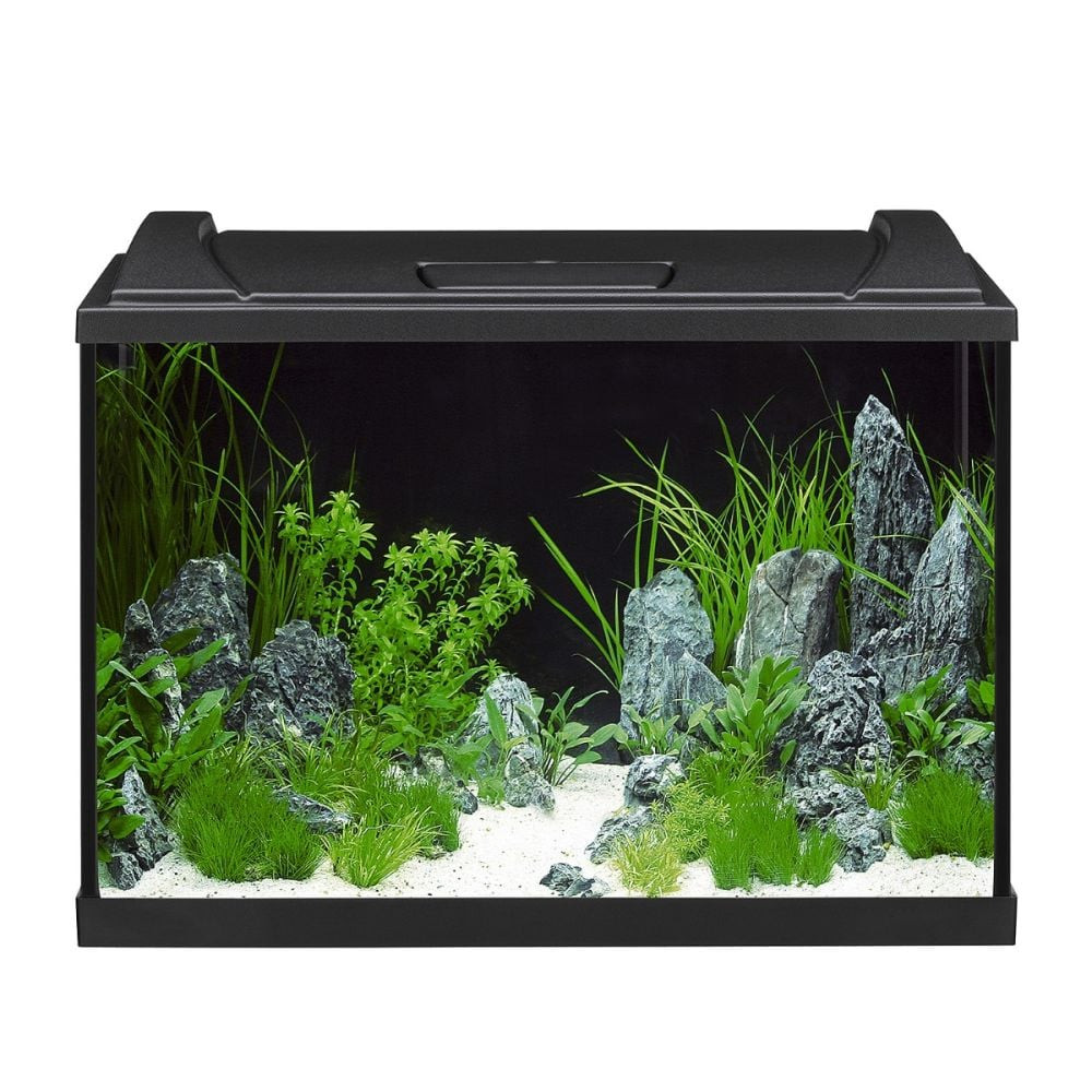 Image of Eheim AquaproLed 60XL Black 84l komplett akvárium (0340698)