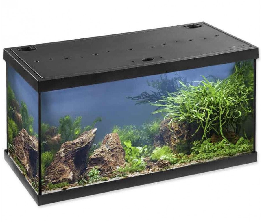 Image of Eheim AquaproLed 80 Black 126l komplett akvárium (0340898)