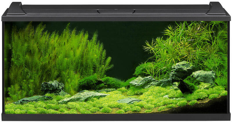 Image of Eheim AquaproLed 100 Black 180l komplett akvárium (0341098)