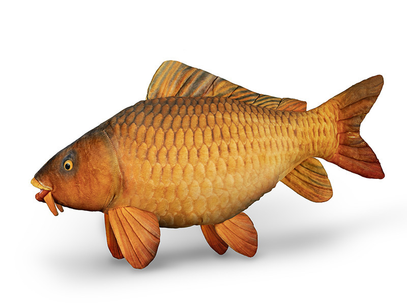 Image of Delphin CARPY Plüss ponty 60cm (101006075)