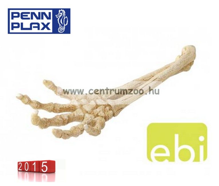 Image of Penn Plax Deco Samu Dekorációs Csontváz Kéz Akváriumba 27Cm (234-422120)