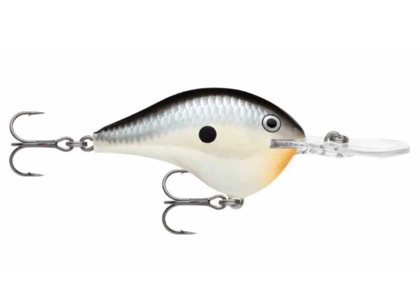 Image of Rapala DT10 Dives-To Series - Crankbaits Ikes Custom 6cm 12g wobbler - PNGN (DT10PNGN)