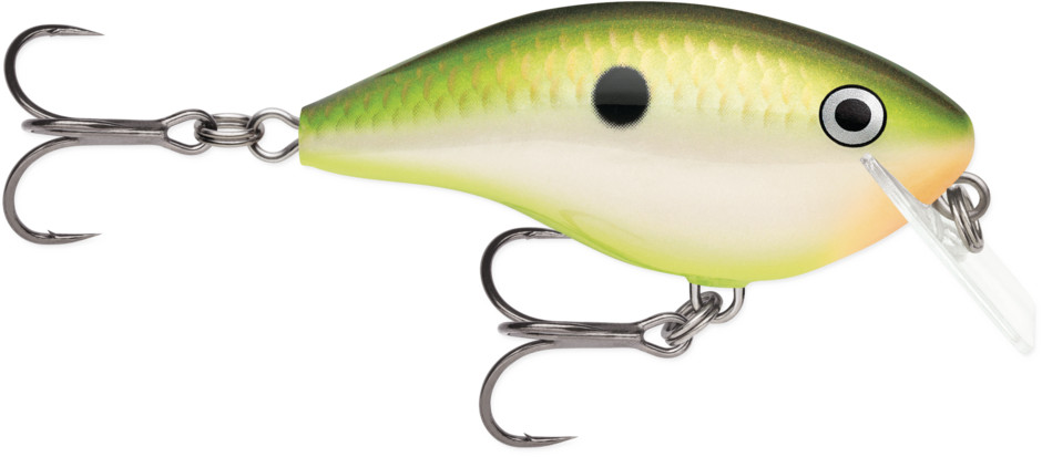 Image of Rapala OGR05 OG Rocco Crankbait Rap 6cm 10g BCTS (6148035)