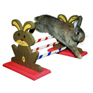 Image of Kerbl Rodent Obstacle Agility - nyúl, tengerimalac, csincsilla játék (82855)